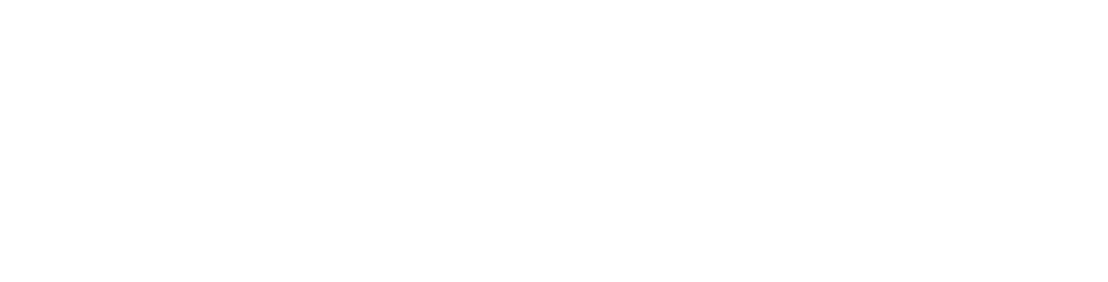 Octarin wordmark lockup — on dark